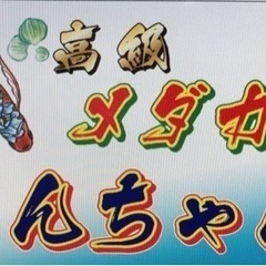 メダカの卵