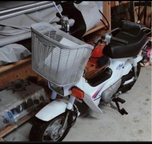 シャリー最終値下げ 今週末まで