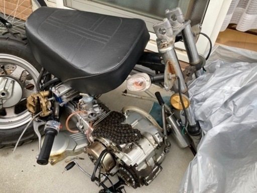 中華モンキー　まとめ売り