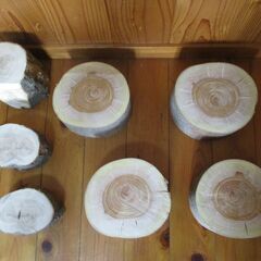 丸太・欅＆椚の広葉樹　バトニング台等に最適の画像