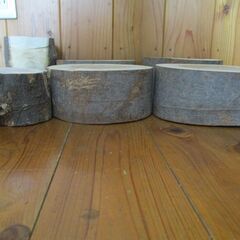 丸太・欅＆椚の広葉樹　バトニング台等に最適の画像