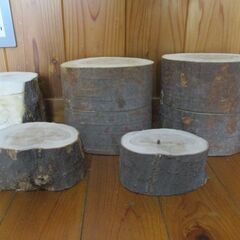 丸太・欅＆椚の広葉樹　バトニング台等に最適の画像