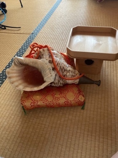 遠方の方も対応します。修験者山伏法螺貝 約43センチ低音 座布団、三方付