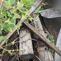 木材（廃材）さしあげます。の画像