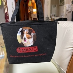 犬友