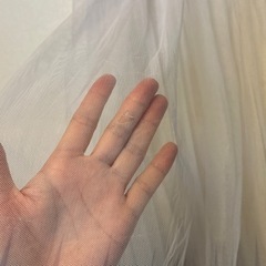 アナ雪　ドレスの画像