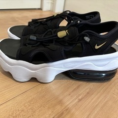 NIKE エアマックスココ　24の画像