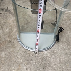 テトラ　ガラス水槽の画像