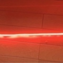 光りもの系の画像