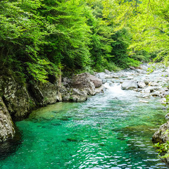 熊本の綺麗な風景を一緒に見に行きませんか？