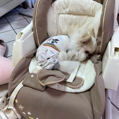 【7/16までのご連絡で無料】0歳ベビー用品⭐︎ハイローチェア手...
