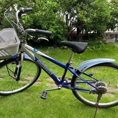 ジュニア
マウンテンバイク