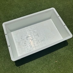 白色トロ舟　配達可能　めだか飼育ケース