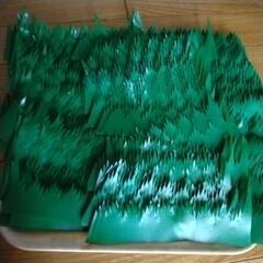 バラン大量