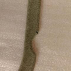 滑らない ハンガー 9本セットの画像