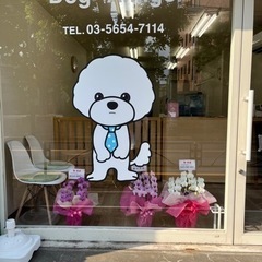 江戸川区平井　トリマー募集！の画像