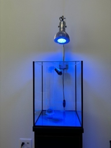 オーバーフロー水槽