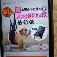 犬歩行補助ハーネス