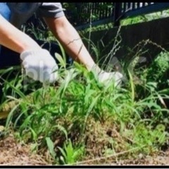 【依頼者仮決定しました】草むしりを一緒にやって下さる方を募集します