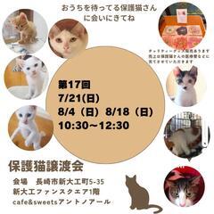 猫さんの譲渡会