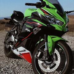 ZX250E