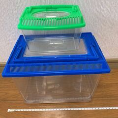 虫かご・水槽【受渡し相談中】