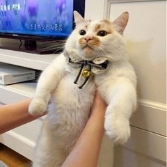 仙台に引っ越してきました！