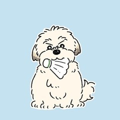 【ONE SHOT】 社会人バドミントンサークル