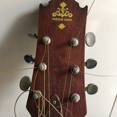 Takeharu WT-100 ジャンク　　