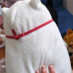 おもちゃ おもちゃ ぬいぐるみの画像