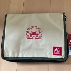 🏝️キャンプス　保冷温レジャーバック2点セット🏝️の画像