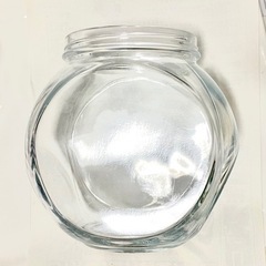 《熱帯魚・金魚鉢・テラリウムに》大型ネコ瓶 口径約10cm 地球...
