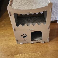 猫の爪切り