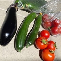 野菜　まとめ売り