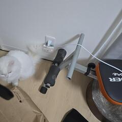 ワンダーコアの画像