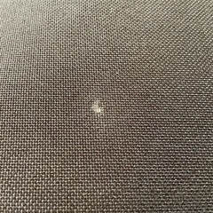 無印良品ハイバックリクライニングソファ　１シーターの画像