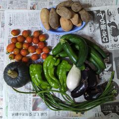 野菜の訳ありおまとめセット