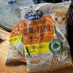 猫用品とその他の画像