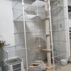 猫用ケージ　大型　組立自由の画像