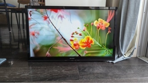 シャープ 24V型 AQUOS ハイビジョン 液晶テレビ 外付HDD対応(裏番組録画) ブラック LC-24K30-B  ブラック