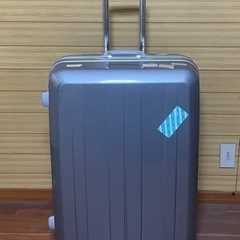 大きいキャリーケース　シルバーの画像