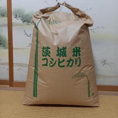 令和5年度産　コシヒカリ　玄米30㎏　4️⃣　食品