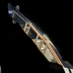 流しそうめん　竹の画像