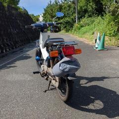 スーパーカブの画像