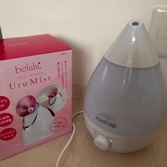 加湿器とスチーマー