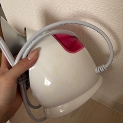 加湿器とスチーマーの画像