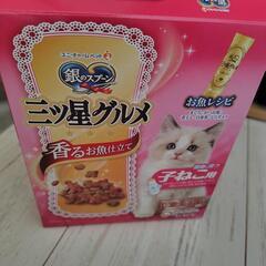 猫の餌　子ねこ用