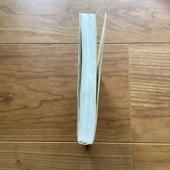 子どもが育つ魔法の言葉　ドロシーローノルト　の画像