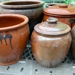 タコツボ まとめ （引き渡し決定済み）の画像