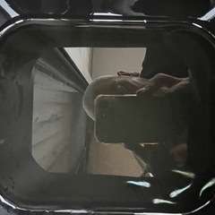 メダカネオン全身体内光